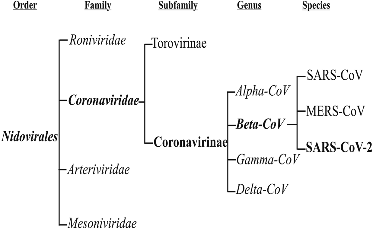 FIGURE 1