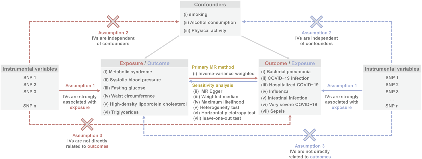 The figure illustrates the three core assumptions required for selecting valid instrumental variables: a strong association with the exposure, independence from confounders such as smoking or alcohol use, and no direct pathway linking the instruments to the outcome. Based on these instruments, the study first assesses the causal effects of metabolic syndrome and its related traits on several infectious diseases, and then conducts the reverse analysis to examine whether infectious diseases influence metabolic traits. The inverse-variance-weighted model is used as the primary analytical method, supported by multiple sensitivity analyses.