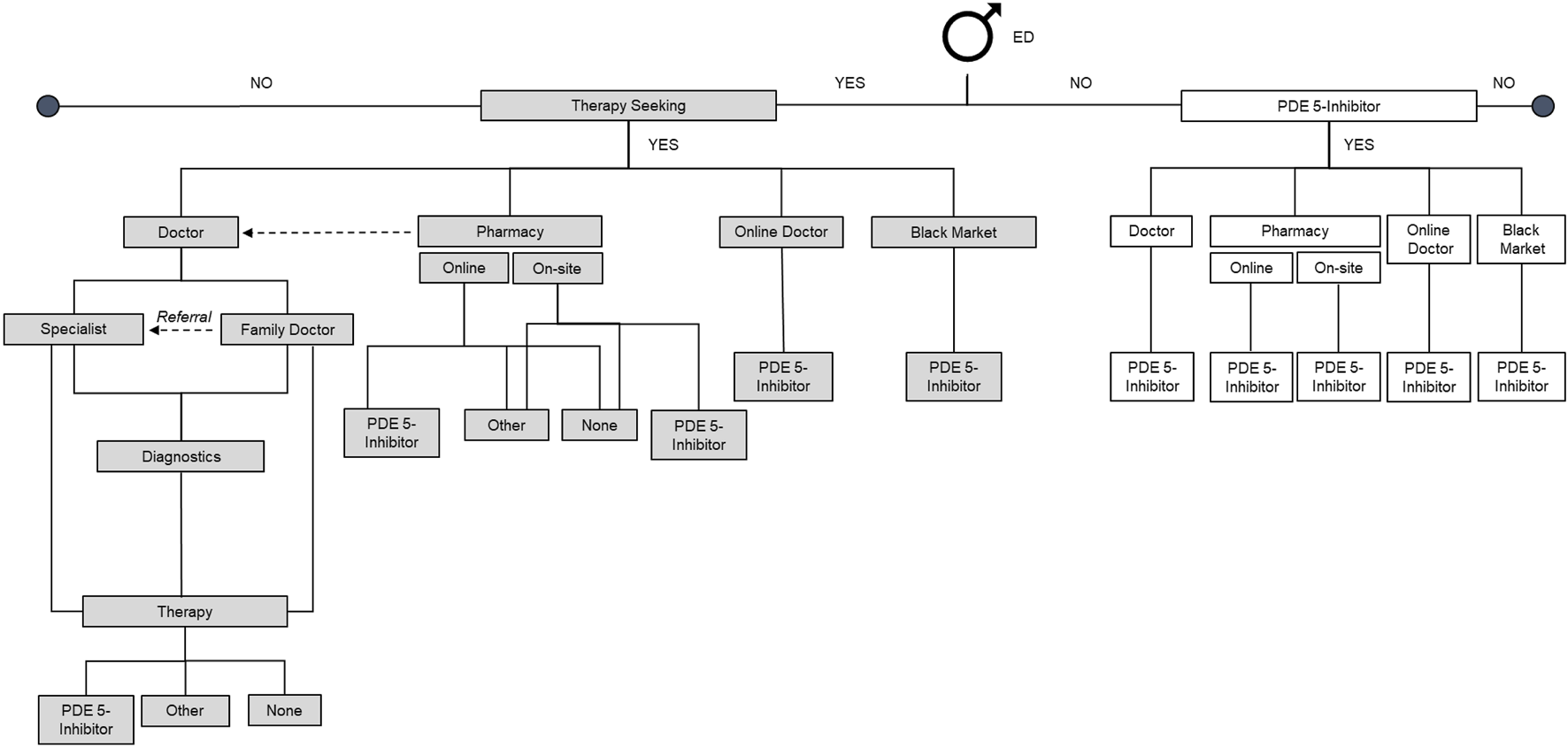 Flowchart depicting therapy seeking for males with and without erectile dysfunction (ED). For those with ED, options include doctor, pharmacy (online/on-site), online doctor, and black market, leading to PDE 5-Inhibitor. Referral paths involve specialists, diagnostics, and therapy, with outcomes of PDE 5-Inhibitor, other, or none.