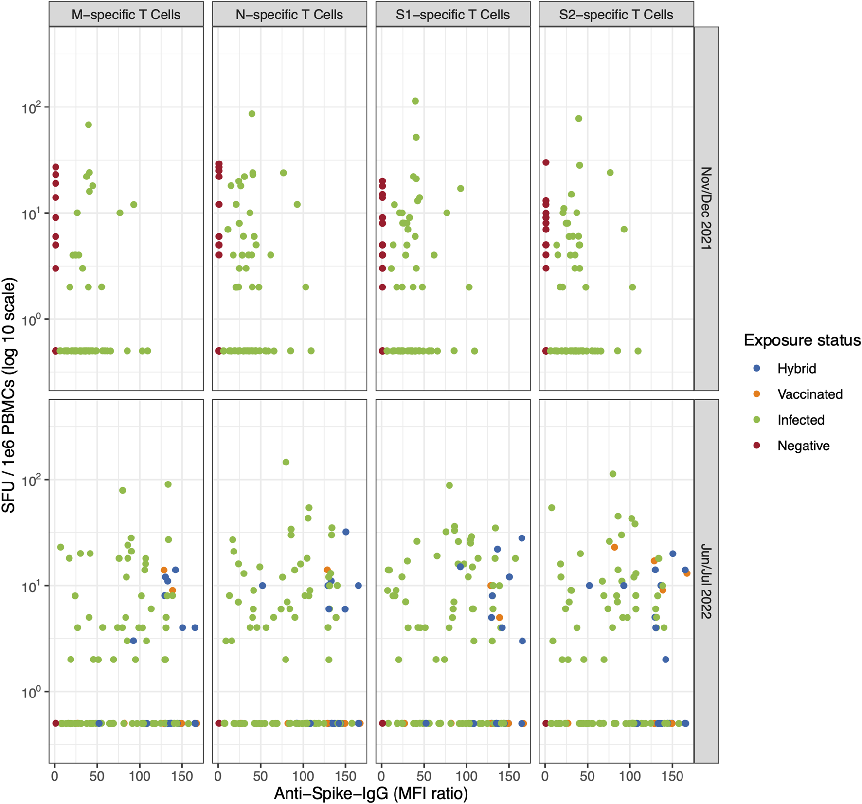 Scatter plots showing SFU per 1e6 PBMCs (log 10 scale) against Anti-Spike-IgG (MFI ratio) for M, N, S1, and S2-specific T cells. Data is split between November/December 2021 and June/July 2022. Points are color-coded by exposure status: hybrid (blue), vaccinated (orange), infected (green), and negative (red).