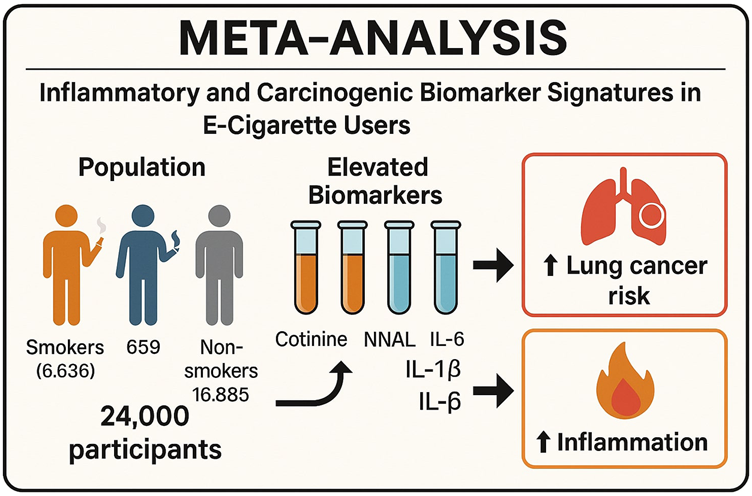 Meta-analysis graphic showing the inflammatory and carcinogenic biomarker signatures in e-cigarette users. It includes a population of 24,000 participants: 6,636 smokers, 659 nonsmokers, and 16,885 nonspecified. Elevated biomarkers are cotinine, NNAL, IL-6, IL-1β, and IL-6. It suggests increased lung cancer risk and inflammation.
