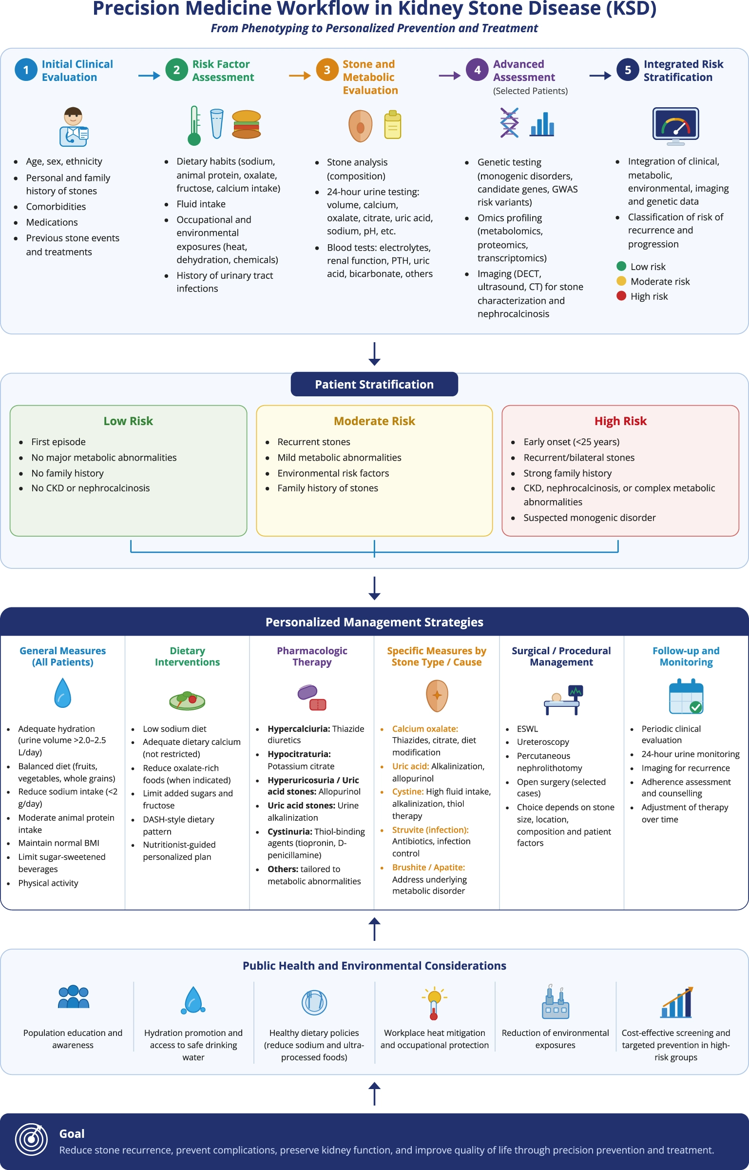 Infographic illustrating the precision medicine workflow in kidney stone disease, outlining five main steps: initial clinical evaluation, risk factor assessment, stone and metabolic evaluation, advanced genetic and omics assessments, and integrated risk stratification. Patient risk (low, moderate, high) informs personalized management, including general measures, dietary interventions, pharmacologic therapy, stone-specific measures, surgical procedures, and follow-up. Public health and environmental strategies are shown at the bottom, aiming to reduce recurrence and improve quality of life.