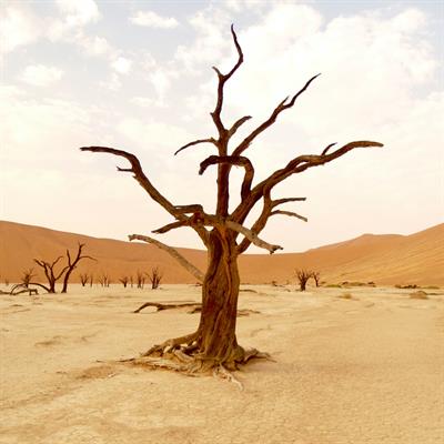 Special Issue Research topic image